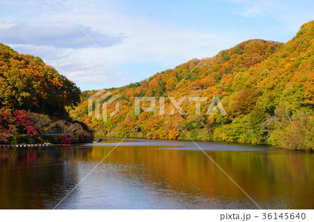 秋の円良田湖 36145640