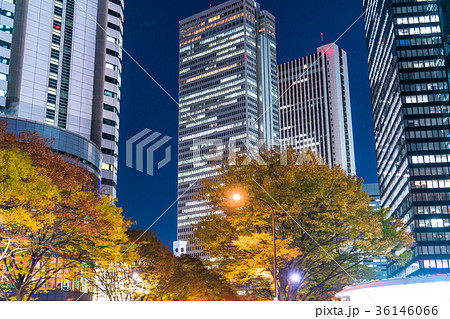 《東京都》新宿副都心・摩天楼の夜景 《東京都》新宿副都心・摩天楼の夜景 36146066