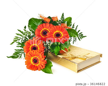 bouquet of gerberas bouquet of gerberas 36146822