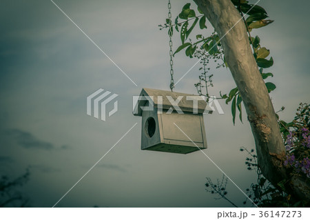 Colorful bird nest on the tree 36147273
