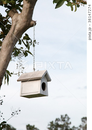 Colorful bird nest on the tree 36147274