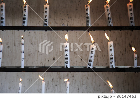 お寺 神社 おみくじ 36147463