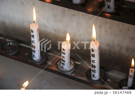 お寺 神社 おみくじ 36147466