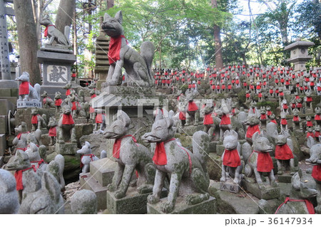 霊狐塚 豊川稲荷 の写真素材