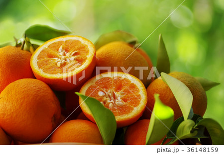 Fresh oranges Fresh oranges 36148159