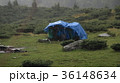 Travelers are hiding from the rain 36148634