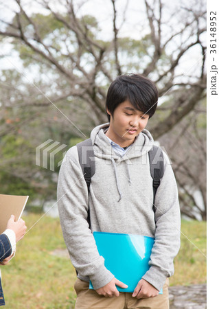 立ち話をしている学生 36148952