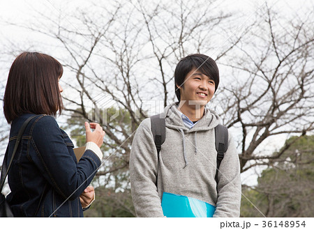 立ち話をしている学生 36148954