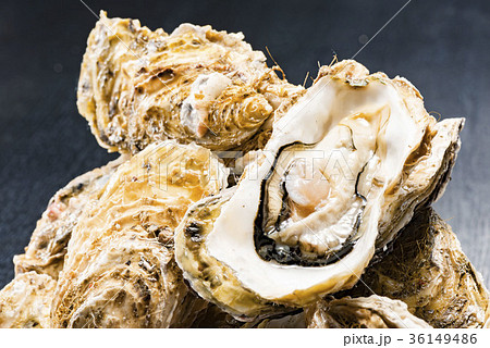 生牡蠣 生牡蠣 36149486
