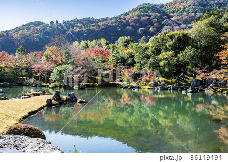 秋の天龍寺 36149494