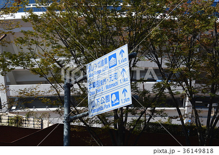 横浜スタジアム前の道路標識 横浜スタジアム前の道路標識 36149818