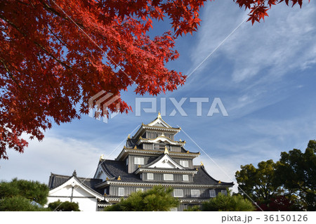 岡山城と紅葉 岡山城と紅葉 36150126