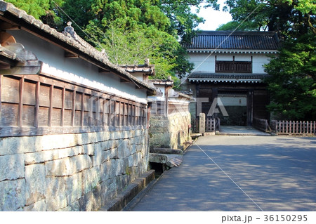飫肥城下町の風景 36150295