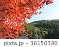20171116-京都紅葉９ 36150380