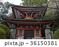20171116-京都紅葉１０ 36150381