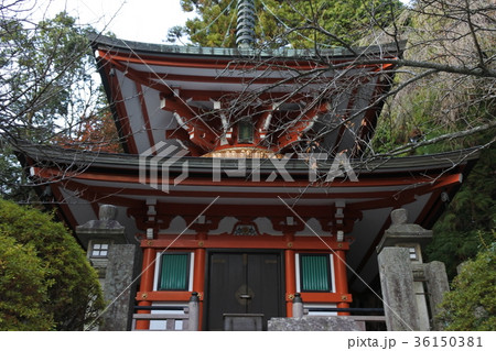 20171116-京都紅葉10 20171116-京都紅葉10 36150381