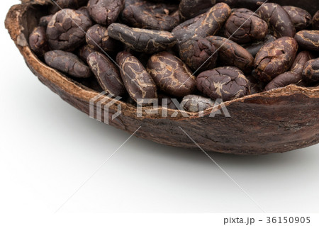 カカオ豆：cacao beans 36150905