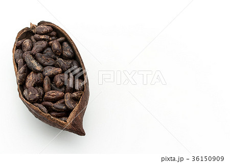 カカオ豆：cacao beans 36150909