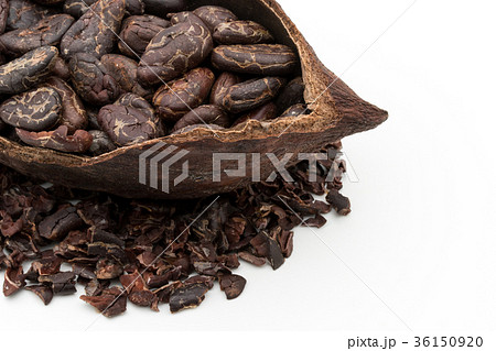 カカオ豆とカカオニブ：cacao beans and cacao nibs 36150920