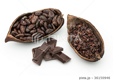 カカオ豆とカカオニブとチョコレート:cacao beans & nibs, chocolate カカオ豆とカカオニブとチョコレート:cacao beans & nibs, chocolate 36150946