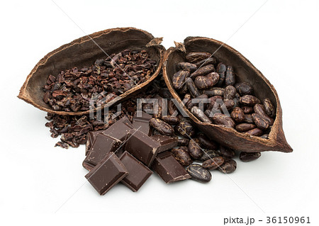 カカオ豆とカカオニブとチョコレート：cacao beans & nibs, chocolate 36150961