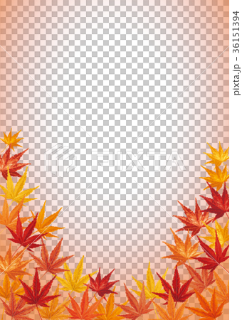 Maple autumn leaves background 1 Maple autumn leaves background 1 36151394