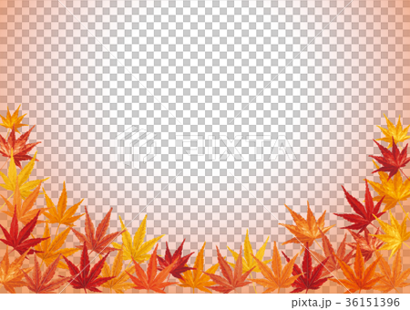 Maple autumn leaves background 3 Maple autumn leaves background 3 36151396