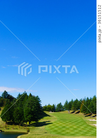 アップダウン(縦) アップダウン(縦) 36151512