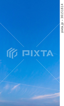 11月の空と雲　 縦 36151614