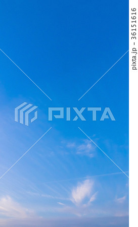 11月の空と雲　 縦 36151616