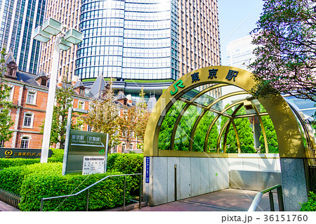 京葉線　東京駅（横） 36151760