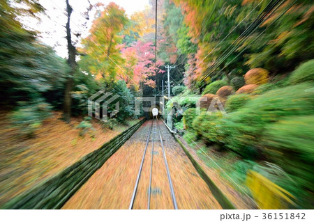 高尾山の紅葉と線路とトンネル 高尾山の紅葉と線路とトンネル 36151842