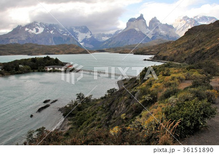 パイネ国立公園 パイネ国立公園 36151890