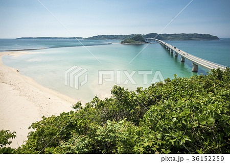 緑と角島大橋と海 緑と角島大橋と海 36152259