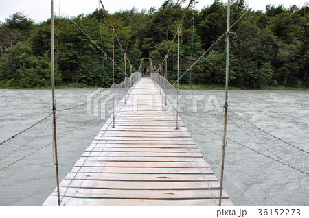 パイネ国立公園 36152273