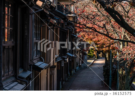 主計町の紅葉 36152575