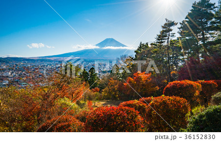 富士見孝徳公園の秋風景2017 36152830