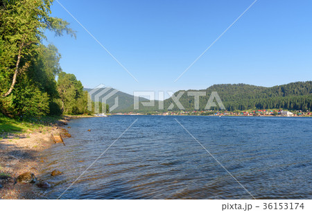 Teletskoye Lake. Northern shore. Altai. Russia 36153174