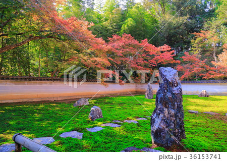 岐阜 真長寺の紅葉 岐阜 真長寺の紅葉 36153741