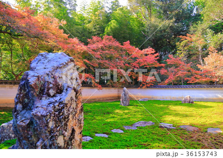 岐阜 真長寺の紅葉 36153743