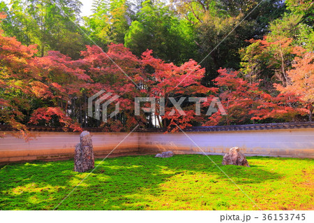 岐阜 真長寺の紅葉 岐阜 真長寺の紅葉 36153745