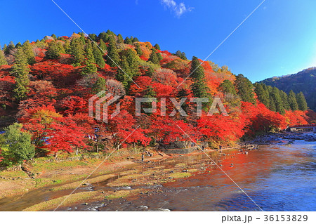 晴天下の香嵐渓紅葉 晴天下の香嵐渓紅葉 36153829