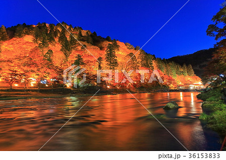 香嵐渓紅葉のライトアップ 36153833