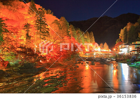 香嵐渓紅葉のライトアップ 36153836
