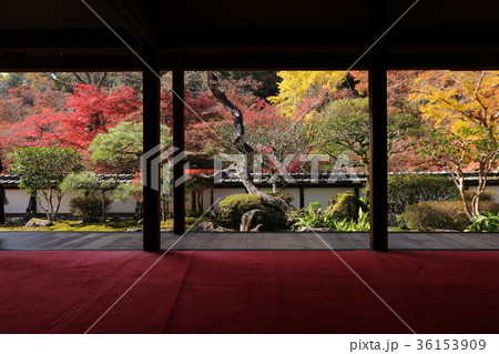 正暦寺の紅葉 36153909