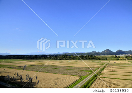 山形県金山町 山形県金山町 36153956