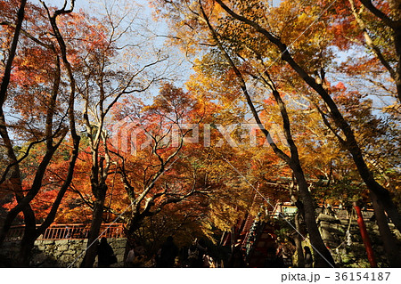 談山神社の紅葉 談山神社の紅葉 36154187