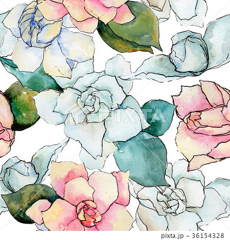 Wildflower gardenia flower pattern in a watercolor 36154328