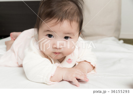 幼児　女の子　新生児 36155293