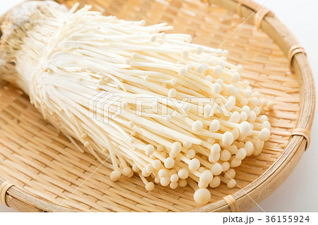 エノキ エノキ 36155924